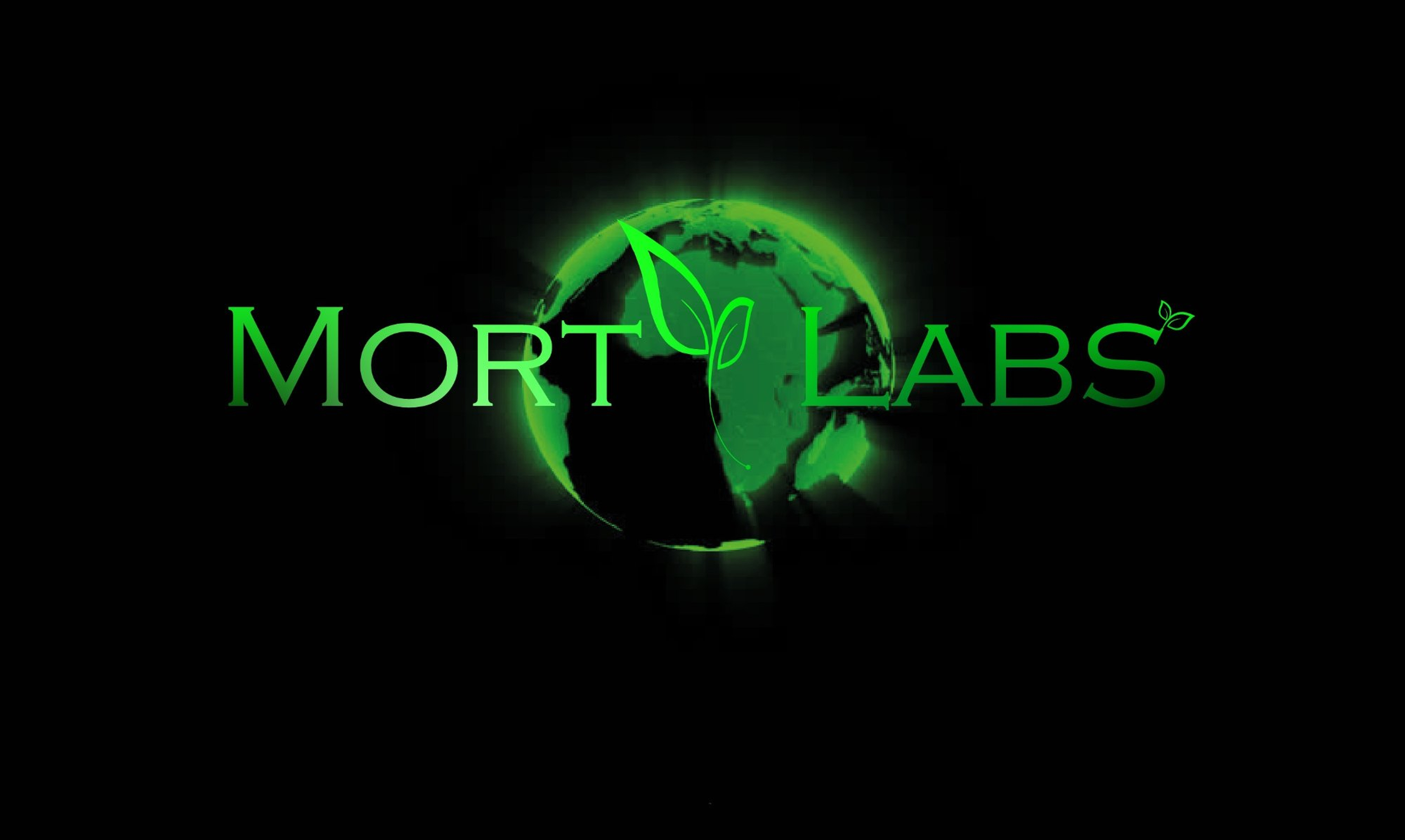 Morty Labs